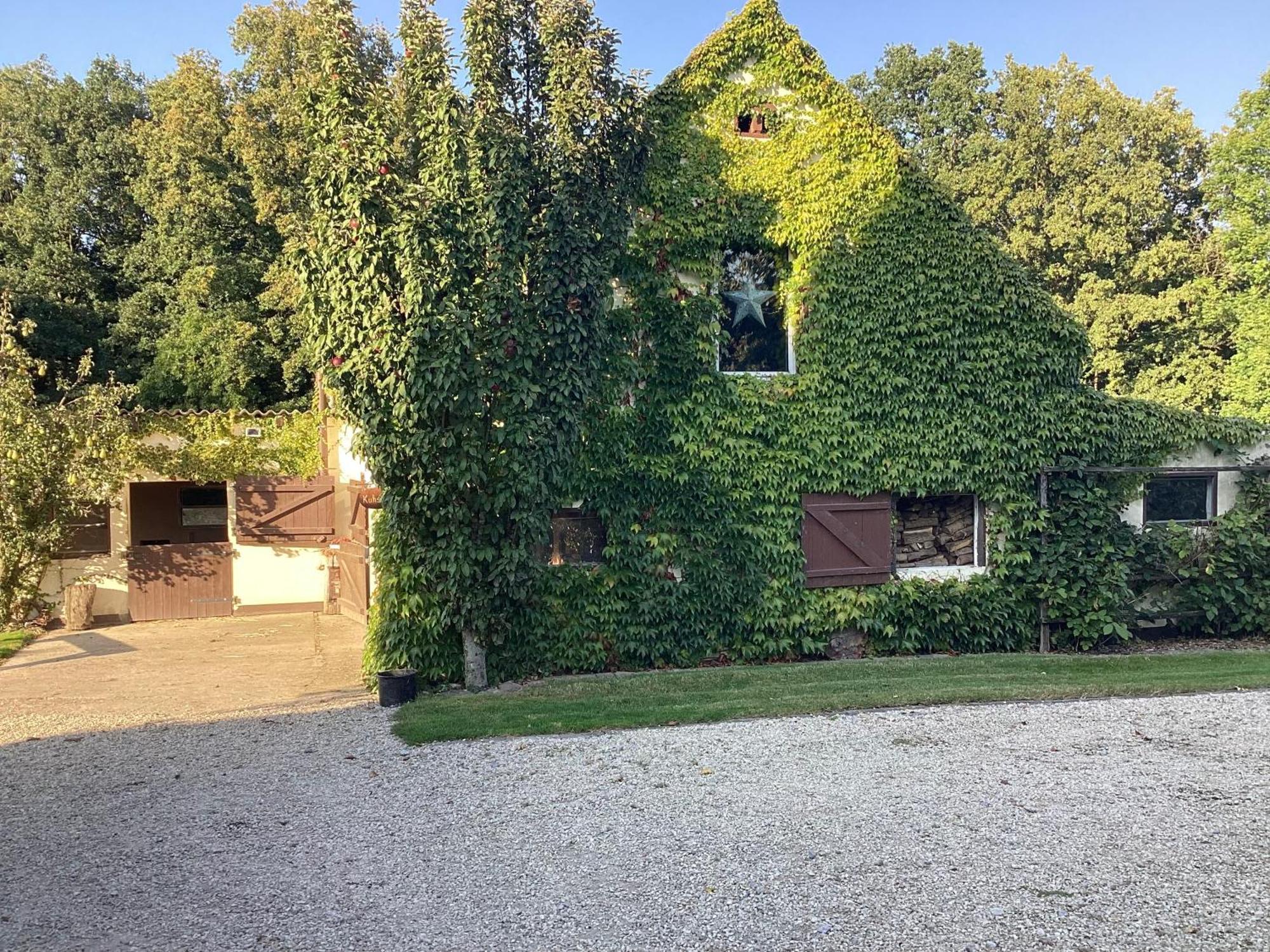 Kuhlmanns Hof Leilighet Vlotho Eksteriør bilde